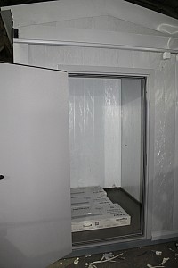 IMG_7081